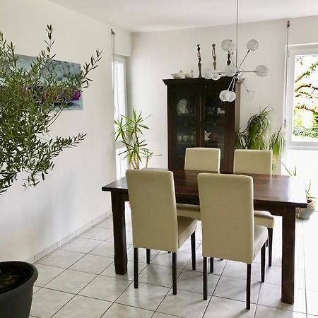 Ferienwohnung Annabelle Bodman-Ludwigshafen Exterior photo